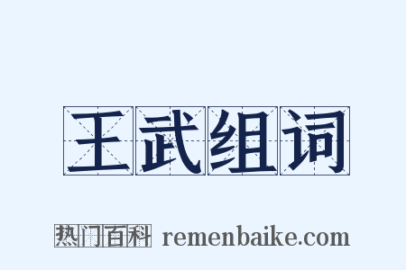 王武组词是什么意思的图片